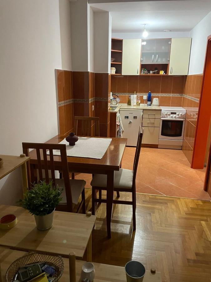 Apartman Sasa Podgorica Kültér fotó